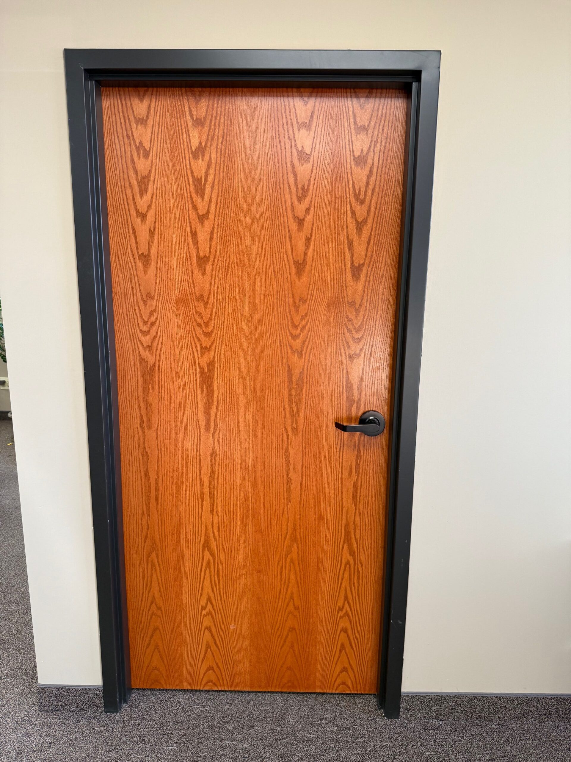 Commercial office doors
